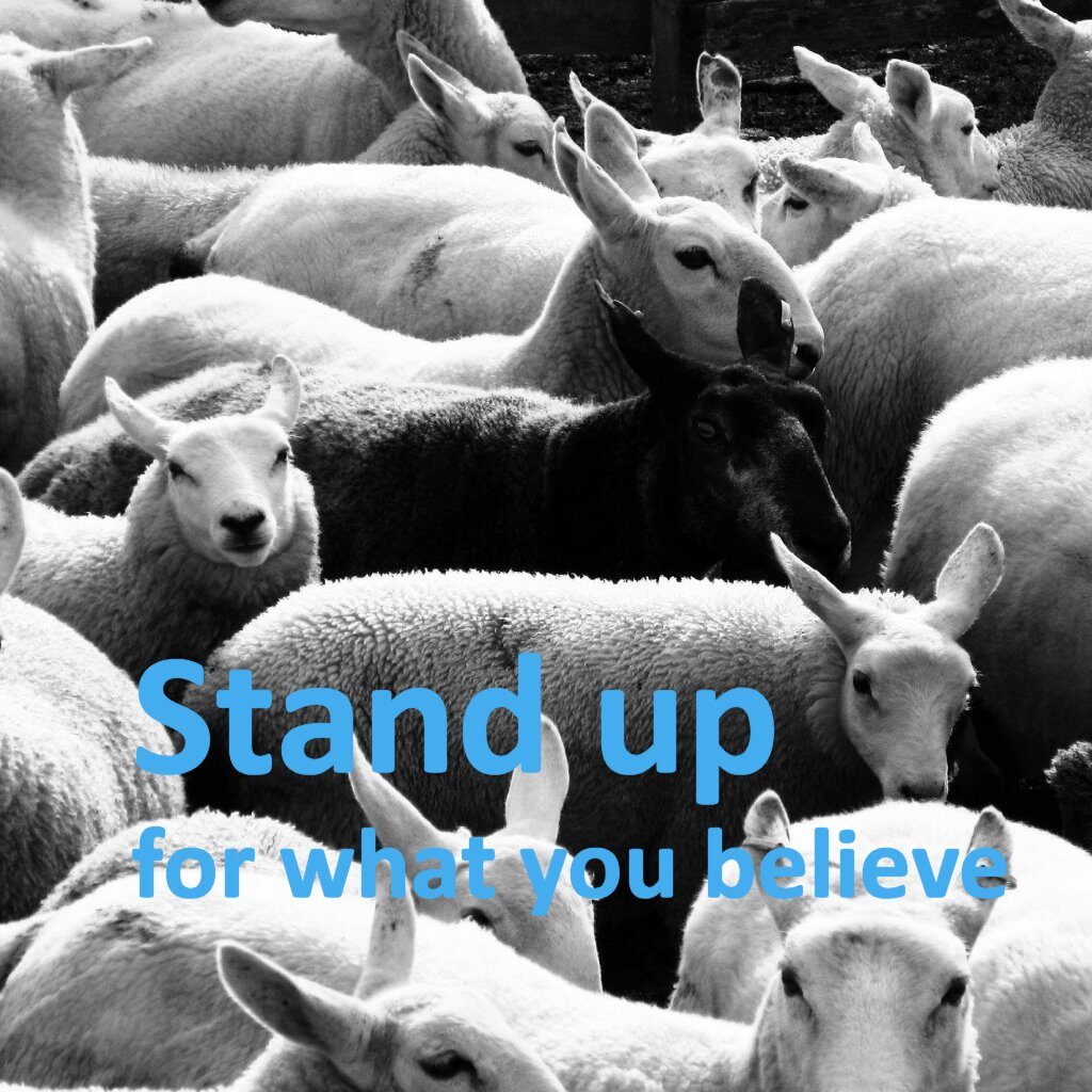 Stand up what I believe in